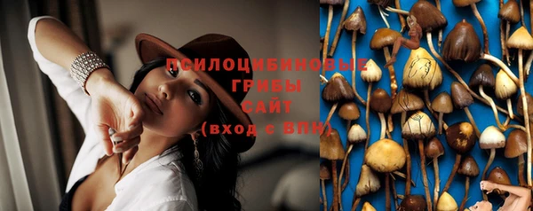 соль курить ск Липки