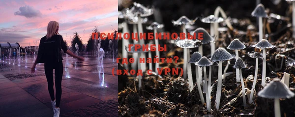 соль курить ск Липки