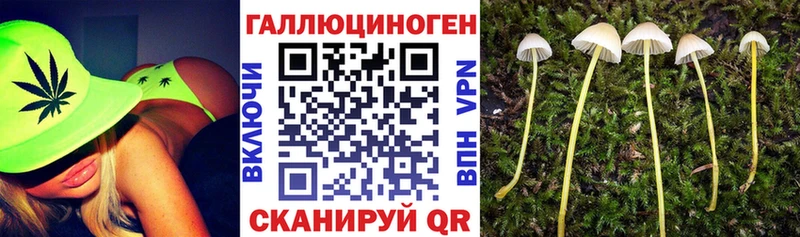 Галлюциногенные грибы GOLDEN TEACHER  kraken рабочий сайт  Ядрин 